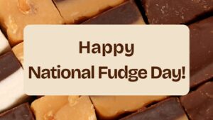 Happy National Fudge Day