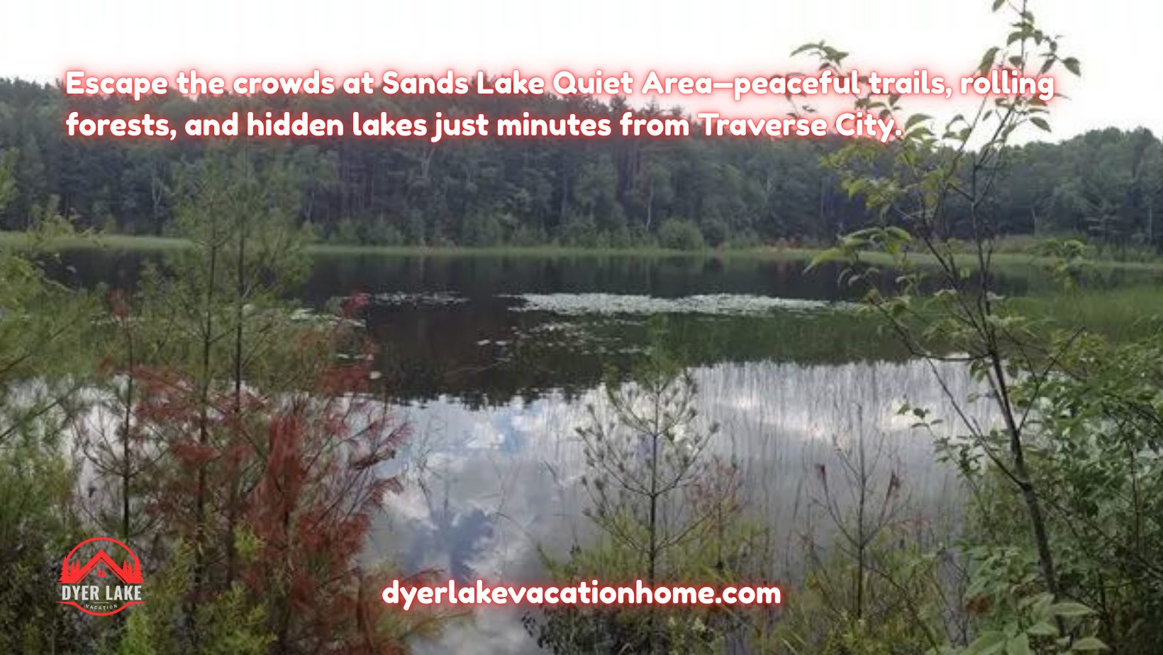 Escape the crowds at Sands Lake Quiet Area—peaceful trails, rolling forests, and hidden lakes just minutes from Traverse City.