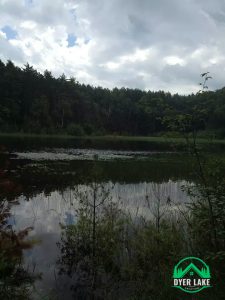Escape the crowds at Sands Lake Quiet Area—peaceful trails, rolling forests, and hidden lakes just minutes from Traverse City.
