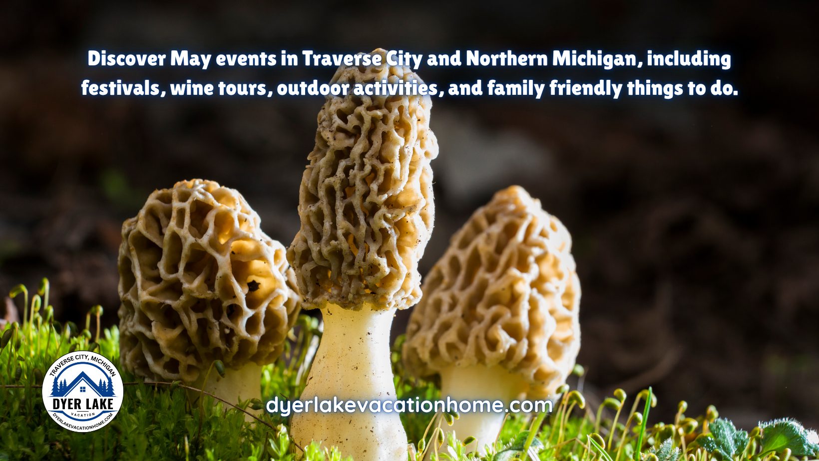 Discover May events in Traverse City and Northern Michigan, including festivals, wine tours, outdoor activities, and family friendly things to do.
