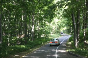 Discover Sleeping Bear Dunes National Lakeshore, scenic drives, beaches, hiking trails, and breathtaking Lake Michigan views.
