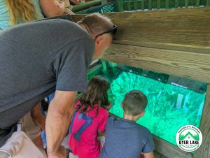 Three generations, five regions, and countless memories. See how Dyer Lake Vacation Home became our Northern Michigan home base for adventure.